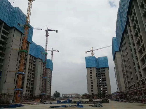 腳手架出租 福建腳手架 中租建筑設備