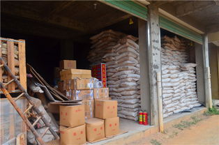 廈門沉香加工產(chǎn)業(yè)與建筑腳手架租賃服務(wù)概覽