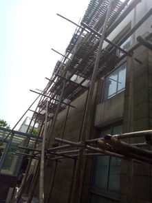 嘉定城區(qū)鋼管與毛竹腳手架搭建及租賃市場(chǎng)分析 上海與廈門價(jià)格與服務(wù)對(duì)比