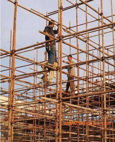 廈門鋼管腳手架出租 廠家、價格與市場概覽